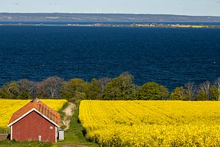 Onboarding New Writers Joining ILLUMINATION Publications Today: #161