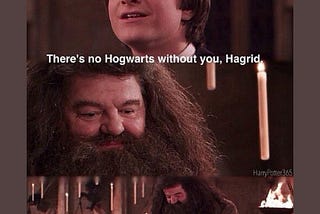 Rubeus Hagrid, I Lost Myself A Little With You ❤