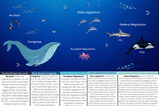 Who Regulates the Ocean of Social Media? Infographic Assignment