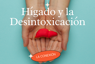 La Conexión entre la Salud del Hígado y la Desintoxicación