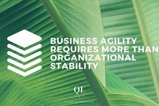 Business Agility Requires More Than Organizational Stability