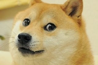 Such Mixed Feelings, Wow: My Experience with Dogecoin