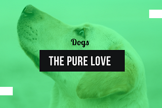 Facts about dogs — A Humble Creature in Planet Earth