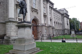 Wildflower meadow at Trinity College, Dublin. Photo by Clare O’Beara.