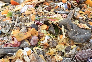 Food Waste: The World’s Dumbest Environmental Problem