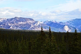 Denali National Park