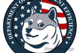 How Come the Liberals Don’t Have a DOGE Plan?