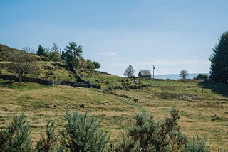 North Wales | Woodland Photography