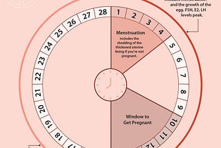 Menstrual Art: Embracing Creativity and Empowerment in Redefining Menstruation