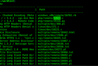 Search for CVES now