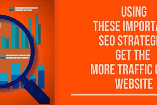 Try SEO for your Website and Increase Traffic