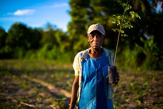 The Tree Fund increases the total trees planted to over 224,372 trees