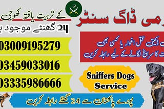 Army dog center Jand 03018665280 (SWO)