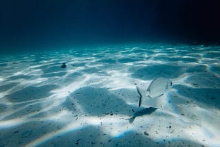 The Spooky Ocean. Sounds That No One Can Explain.