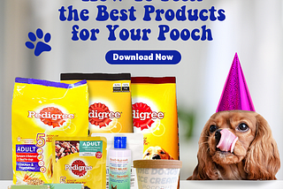 Best Products for Your Pooch