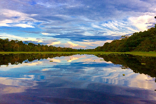 The road to Ayahuasca