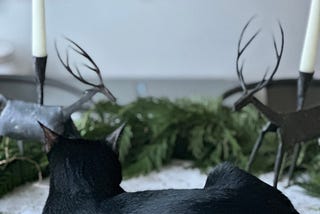 Gratitude for the Holidays…