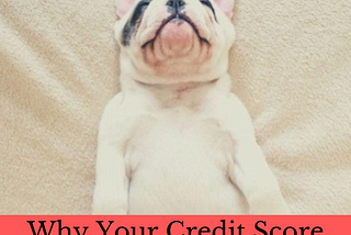 Why your credit score matters