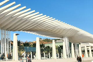 El Palmeral de las Sorpresas, or the Palm Grove of Surprises [Photo: ©Vickey Maverick]