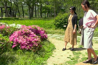 Women’s Togetherness Through the Bliss of Walking, by Hong Sang Soo