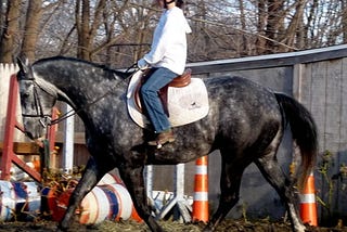 Is Your Horse Taking Enough Beauty Sleep?