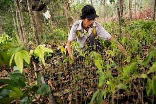 30% af naturen skal beskyttes inden 2030