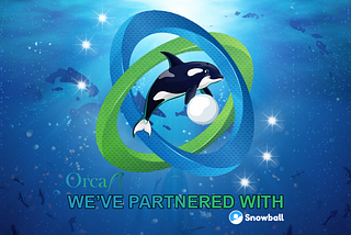 Snowball <> OrcaDAO Partnership