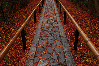 Stone Walkway, Kyoto, Japan