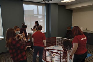 Students stand in line for puppies