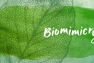 Learning from natures wisdom- Biomimicry