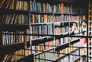 A bookcase filled with books covering an entire wall.