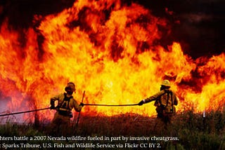 Wildfires and climate change