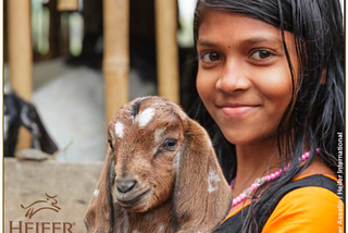 Dignity through Diversification: The ‘Heifer MBA’ Empowers People Living at the Bottom of the…