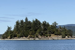 Victim Island Revisited