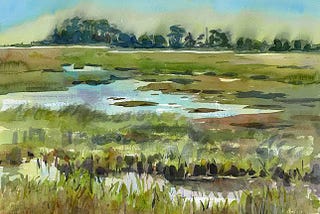 Wetlands or Wastelands