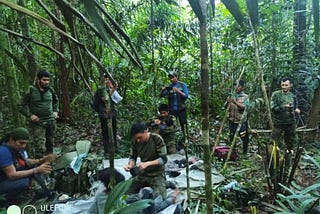 “A MIRACLE IN THE JUNGLE”