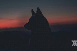Debunking the Lone Wolf Myth