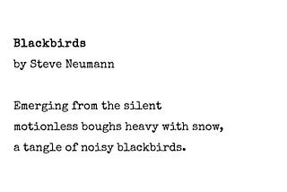 Blackbirds