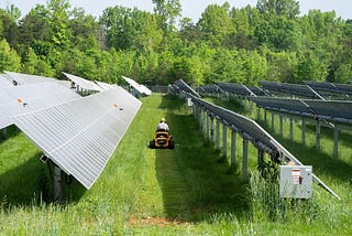 Clean Energy Can Thrive Under the Trump Administration