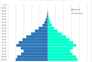 Overview of East Kalimantan’s Population in 2010 by Examining the Population Pyramid