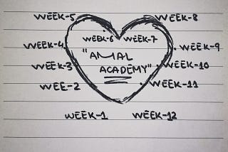 Visualizing my experience of Amal Academy