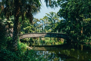 Park Life: The World’s Best Urban Parks