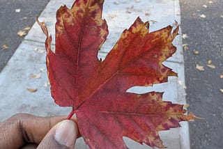 Fall(ing) into October