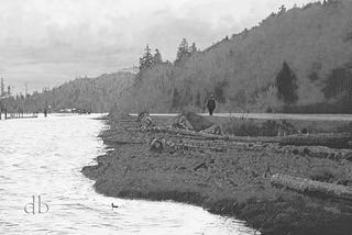 An old man walking down a road next to a tidal river, with old logs scattered on the shoreline.