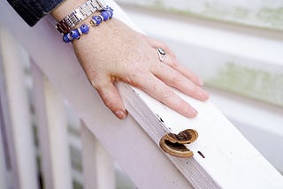 Use the energy of spring ⋆ Rachel Strivelli, Psychic