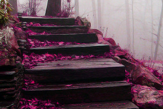 Mystical Stairs, Blue Ridge Mountains, North Carolina