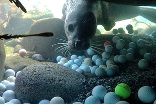 How Golf Is Polluting Our Oceans