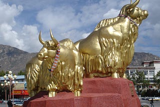 What do cows have to do with Gold?