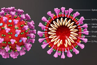 Delta variant of COVID 19!