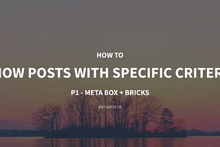 How to Show Posts with Specific Criteria — P1 — Using Meta Box and Bricks